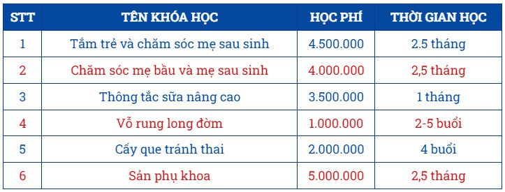 Tông hợp các khoá học chăm sóc mẹ và bé