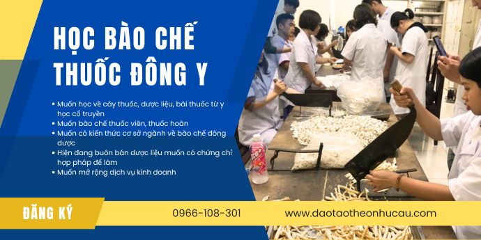 Học bào chế thuốc đông y