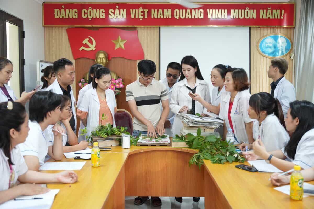 Học nhận biết dược liệu tươi