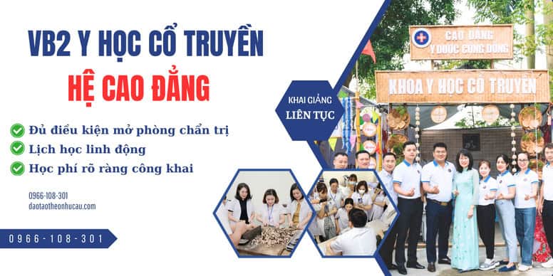 vb2 cao đẳng y học cổ truyền