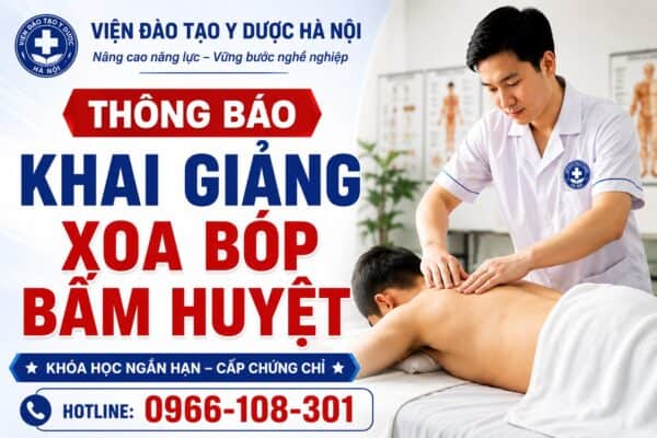 Học xoa bóp bấm huyệt ở Hà Nội