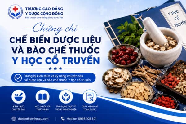 Chế biến dược liệu và Bào chế thuốc Y học cổ truyền