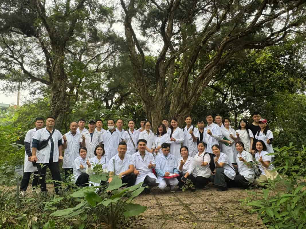 Học bào chế dược liệu tại vườn dược liệu