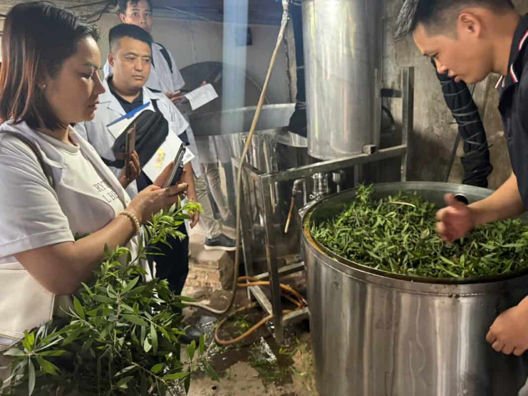 Học nấu tinh dầu