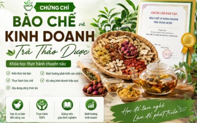 Chứng chỉ bào chế và kinh doanh trà thảo dược