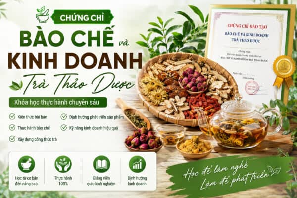Chứng chỉ bào chế và kinh doanh trà thảo dược
