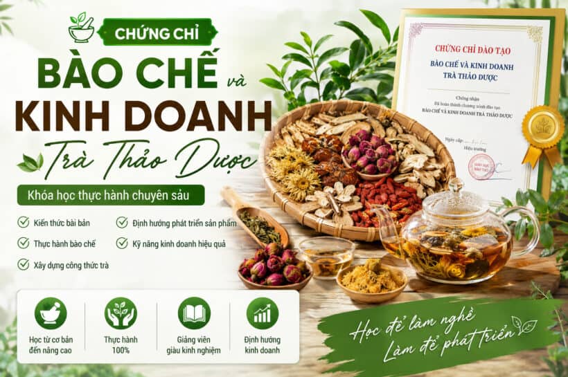 Chứng chỉ bào chế và kinh doanh trà thảo dược