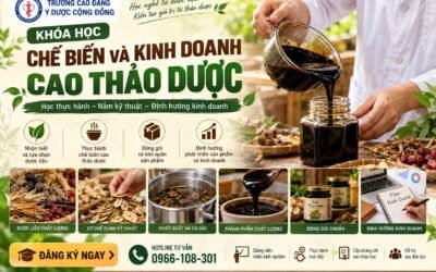 chứng chỉ chế biến và kinh doanh cao thảo dược