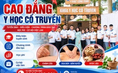 Cao đẳng Y học cổ truyền – thông tin tuyển sinh và chương trình đào tạo.