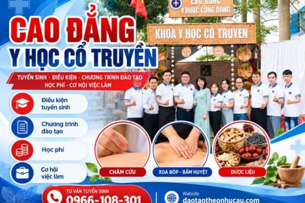 Cao đẳng Y học cổ truyền – thông tin tuyển sinh và chương trình đào tạo.